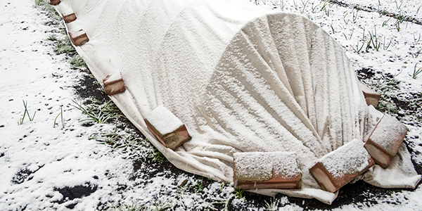 600x300_KB-Blog-Winterizing-garden
