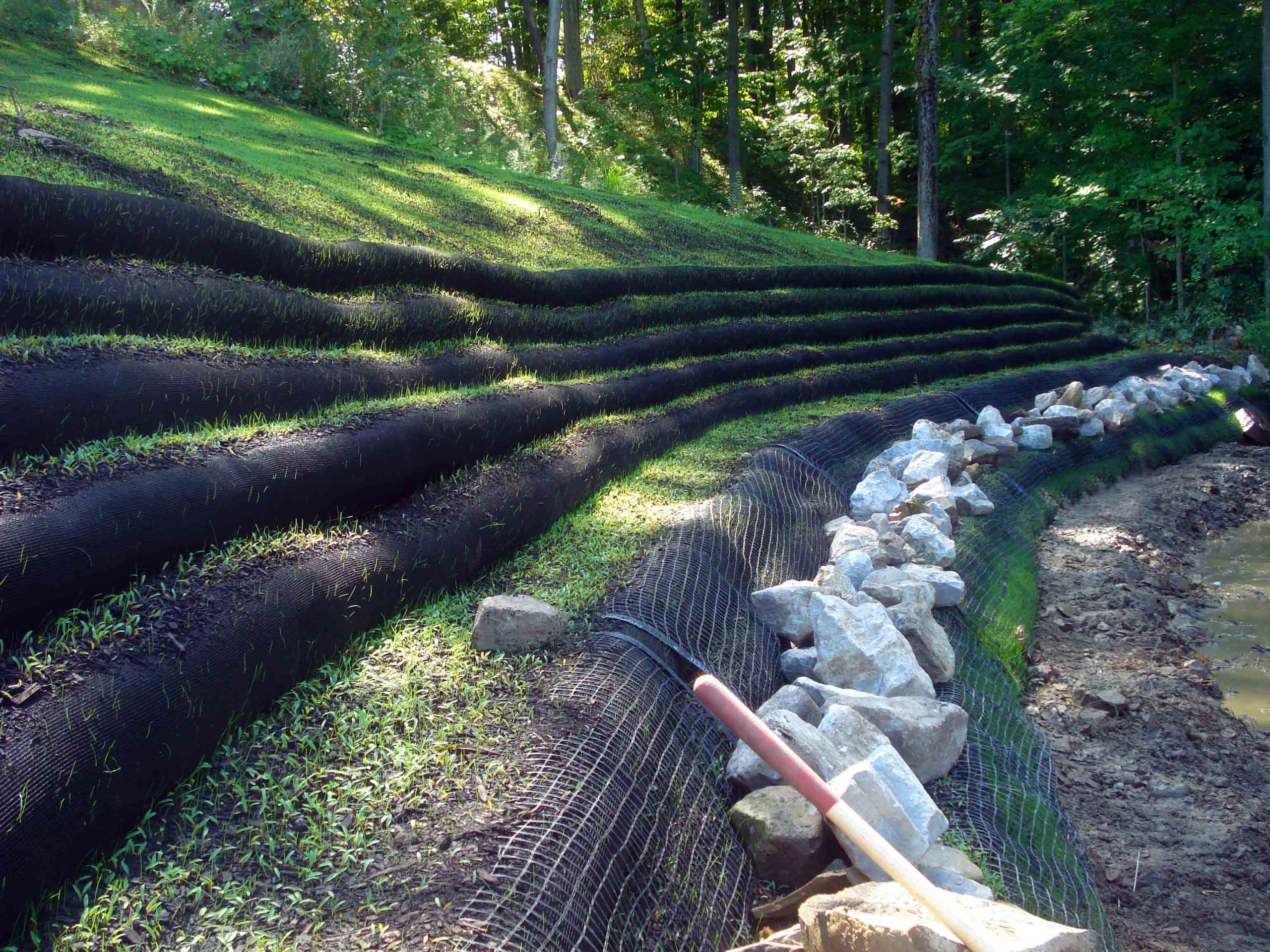 accurate-wall-complete-and-growing-filtrex-small