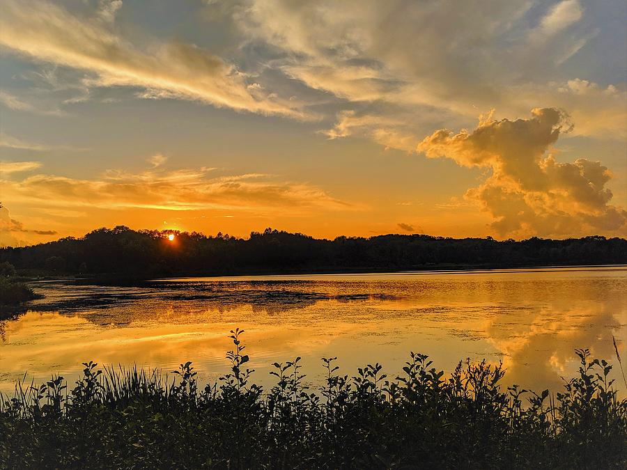 Sunny Lake Park