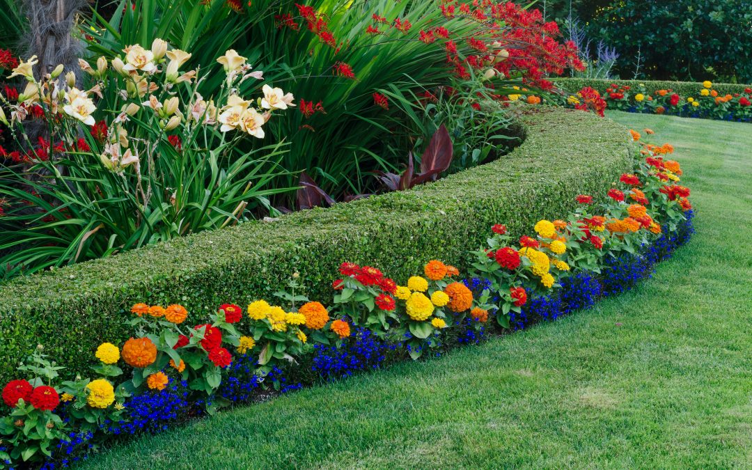 How to Create a Stunning Color-Coordinated Garden: A Complete Guide  