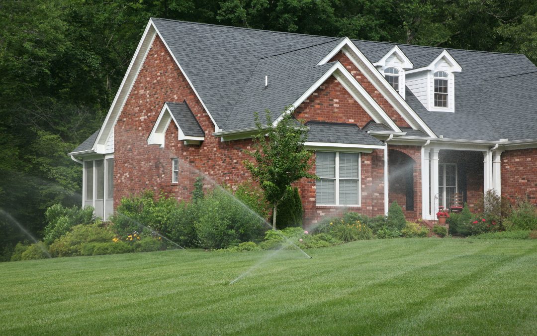 How to Keep Your Lawn Lush as Temperatures Rise