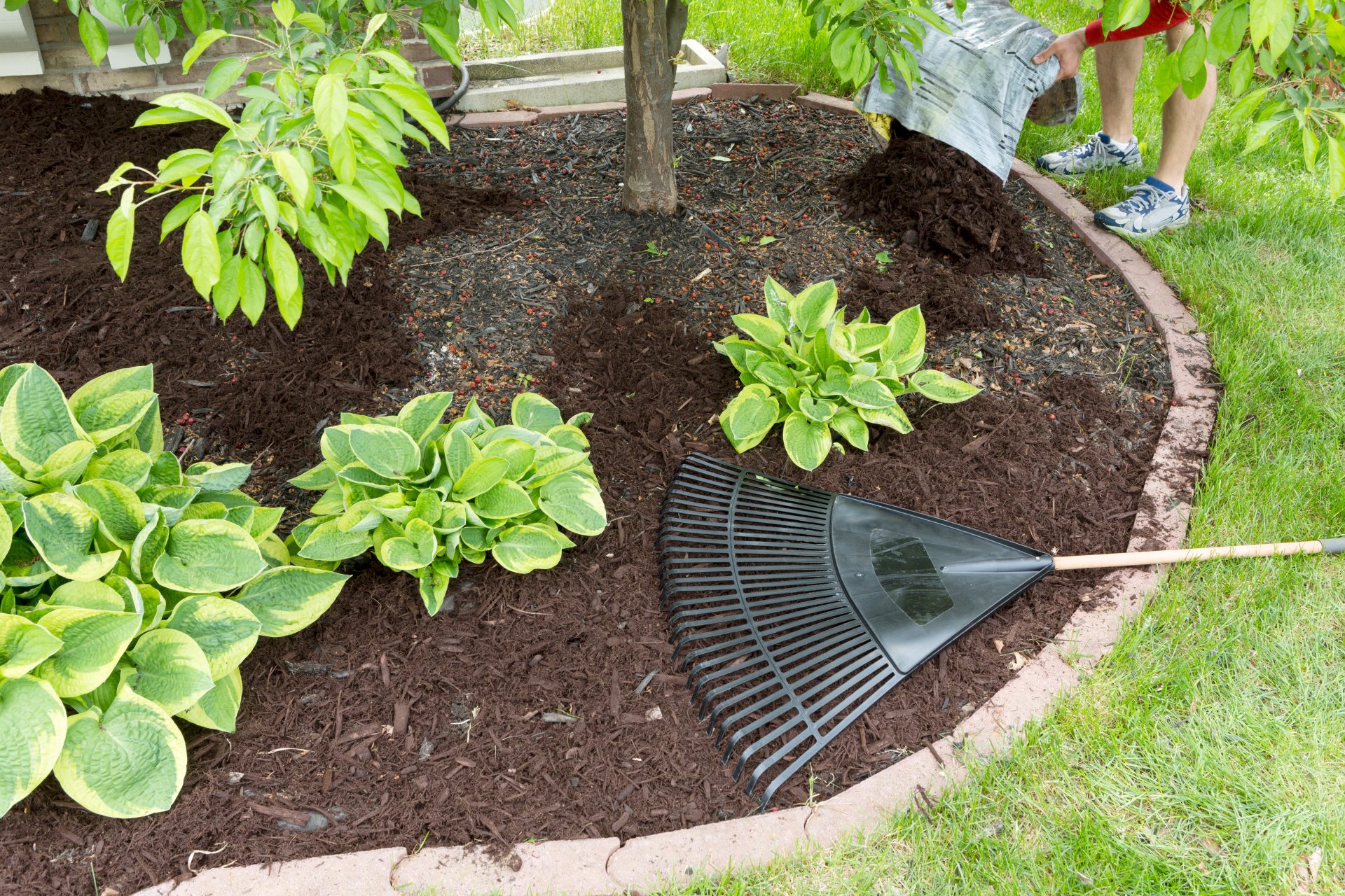 A fall mulch refresh A fall mulch refresh