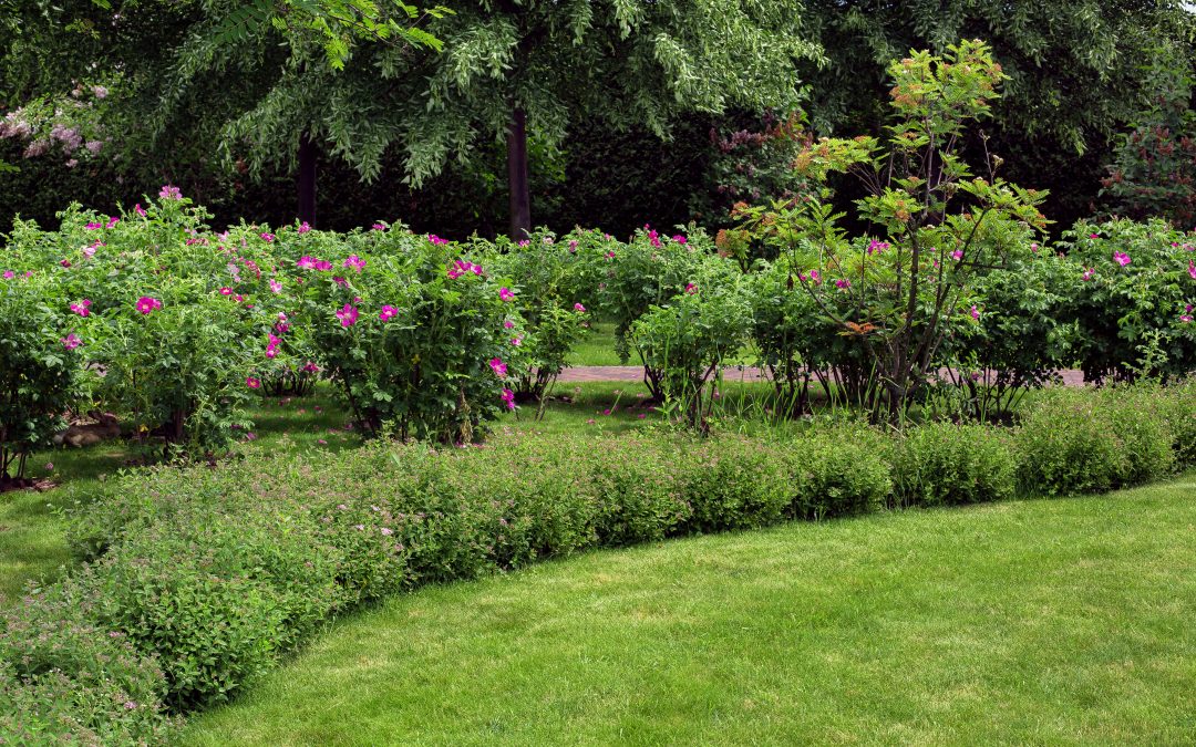 Sustainable Landscaping: How Kurtz Bros. is Leading the Charge in Ohio