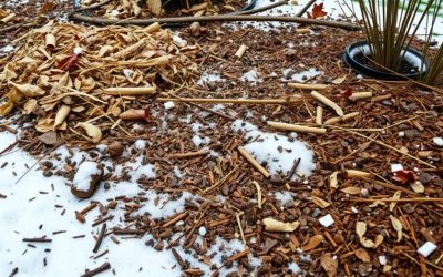 Best Winter Mulch Varieties for Ohio